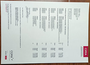 Chartered lnstitute of Management Accountants transcript, CIMA transcript