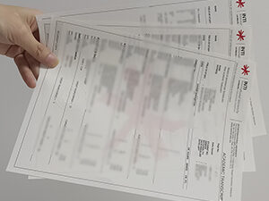 INTI International University transcript