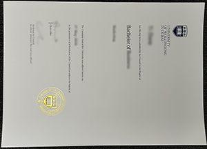 University of Wollongong in Dubai diploma