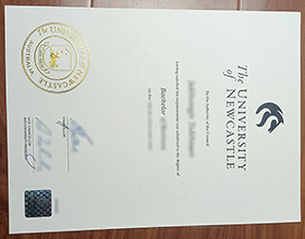 University of Newcastle Diploma