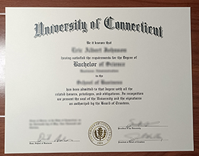 University of Connecticut diploma
